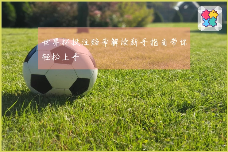 世界杯投注赔率解读新手指南带你轻松上手