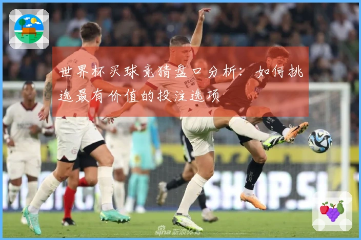 世界杯买球竞猜盘口分析：如何挑选最有价值的投注选项