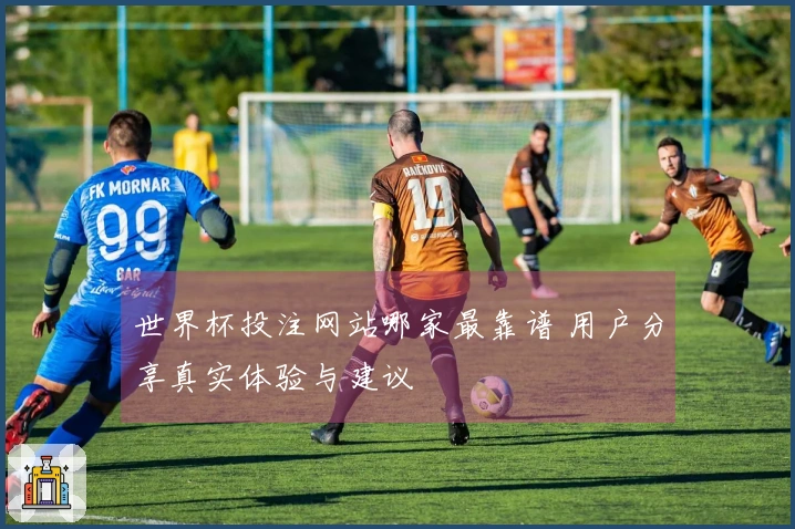 世界杯投注网站哪家最靠谱 用户分享真实体验与建议