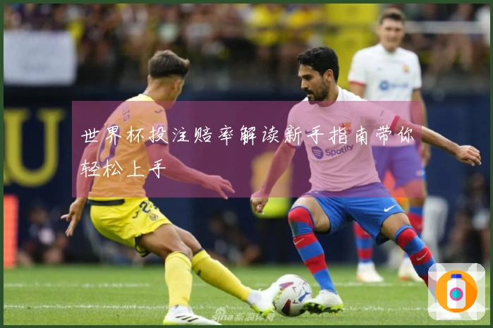 世界杯投注赔率解读新手指南带你轻松上手