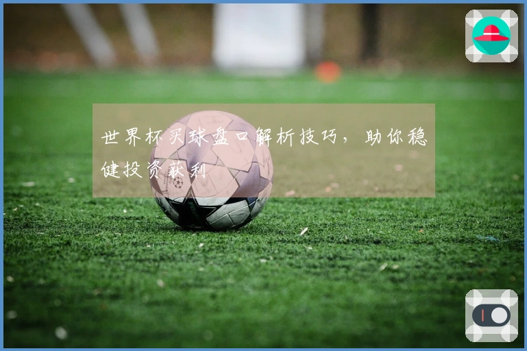世界杯买球盘口解析技巧，助你稳健投资获利