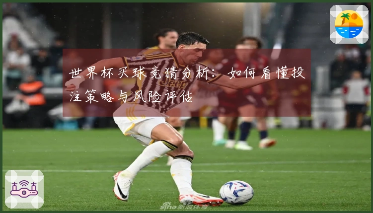 世界杯买球竞猜分析：如何看懂投注策略与风险评估