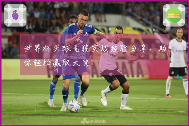 世界杯买球竞猜实战经验分享，助你轻松赢取大奖